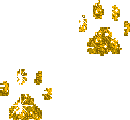 stopa-svítící.gif