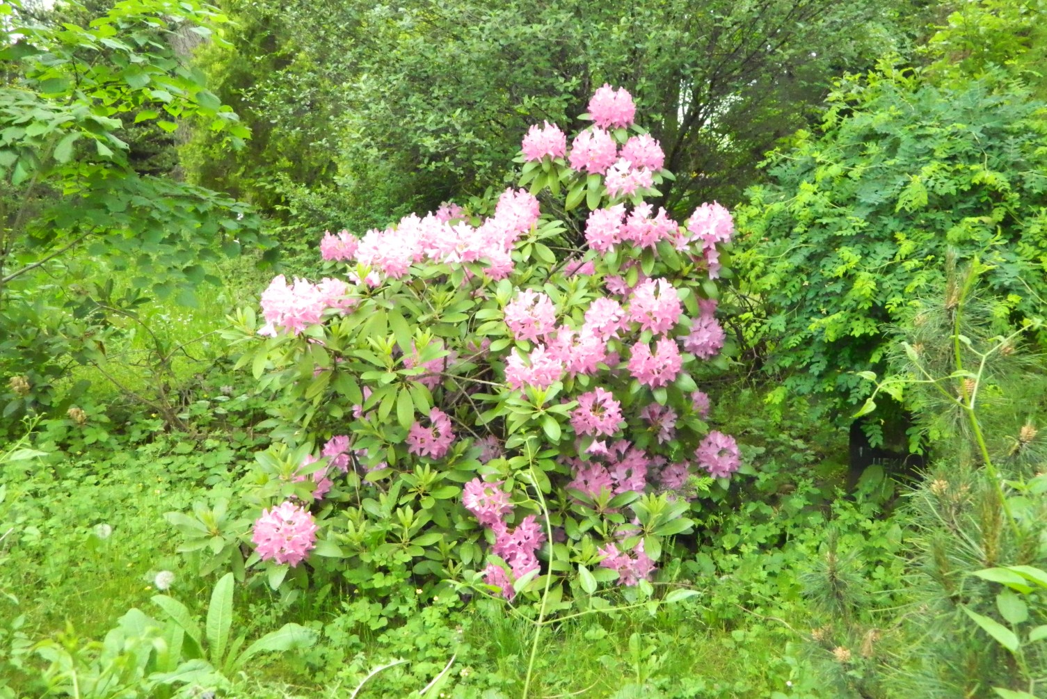 049