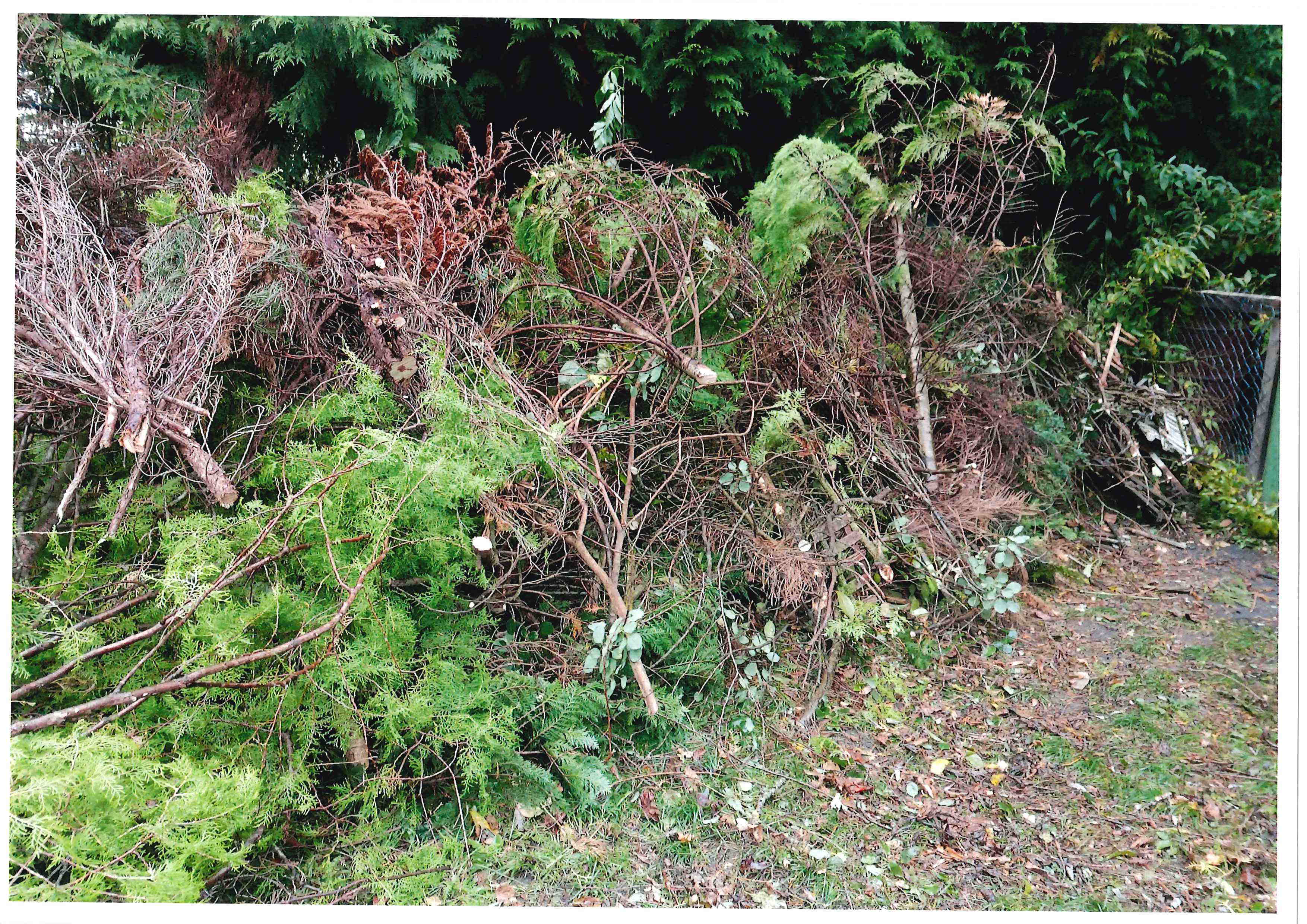 Troja Brigáda 10_2024.pdf-image-004