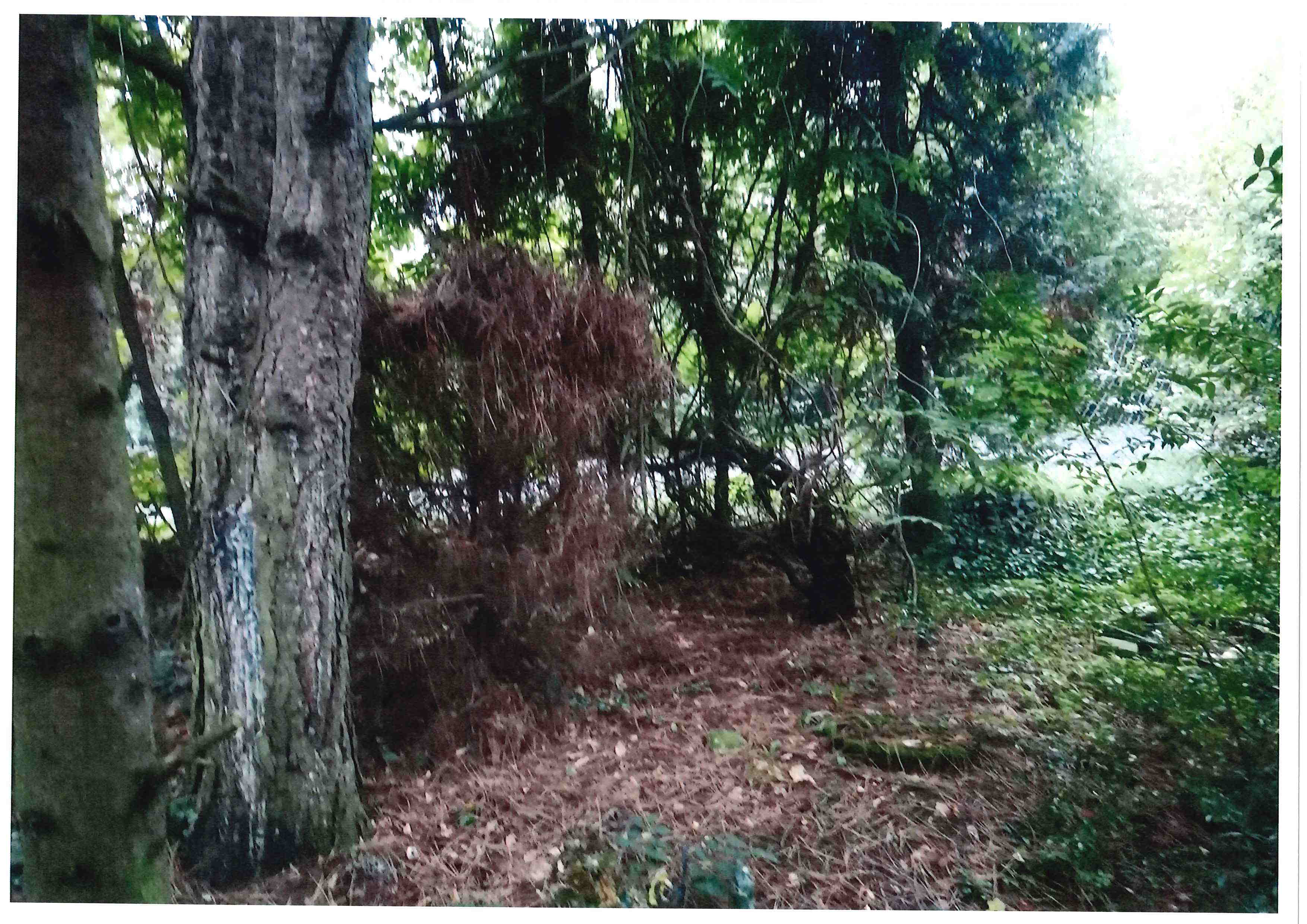 Troja Brigáda 10_2024.pdf-image-007