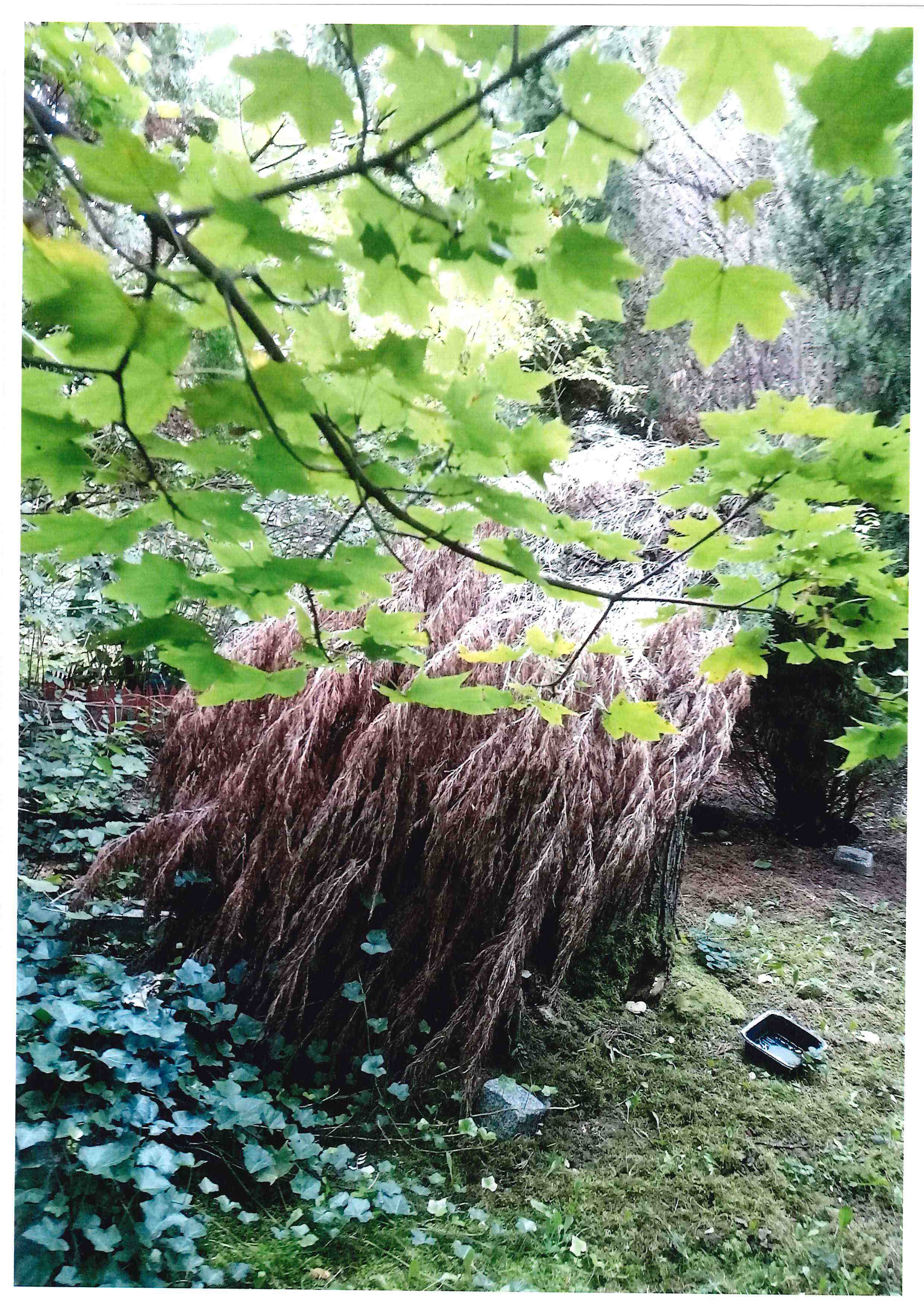 Troja Brigáda 10_2024.pdf-image-011