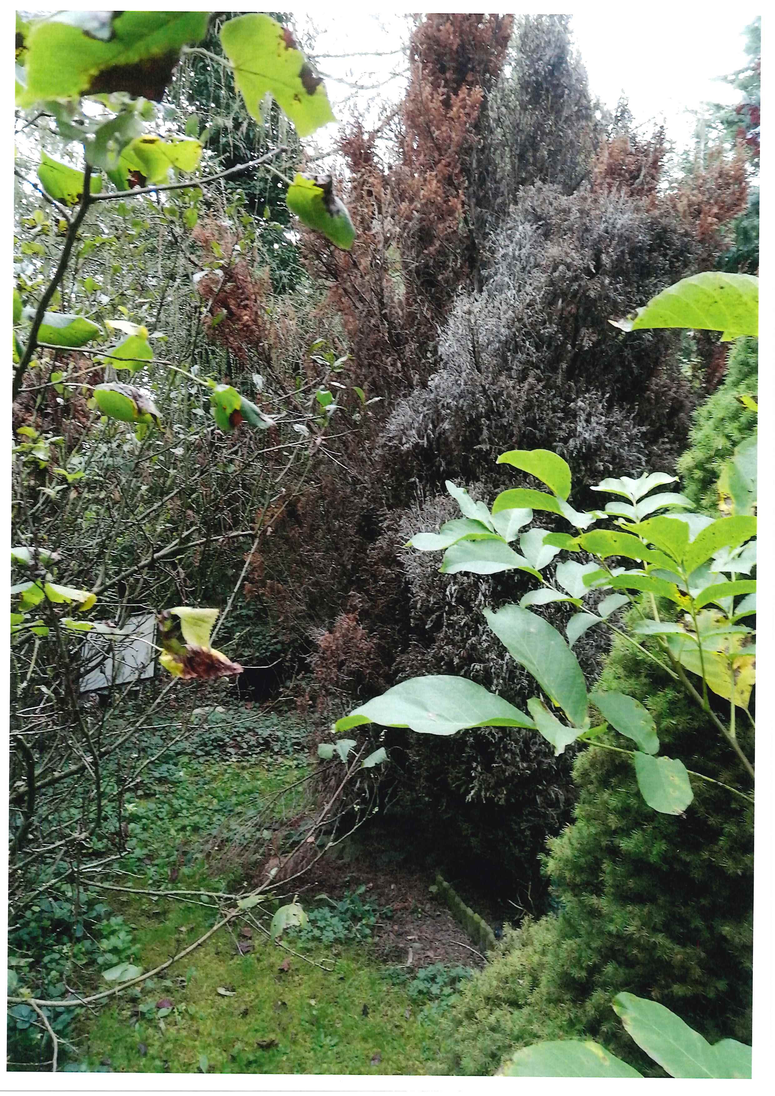 Troja Brigáda 10_2024.pdf-image-012