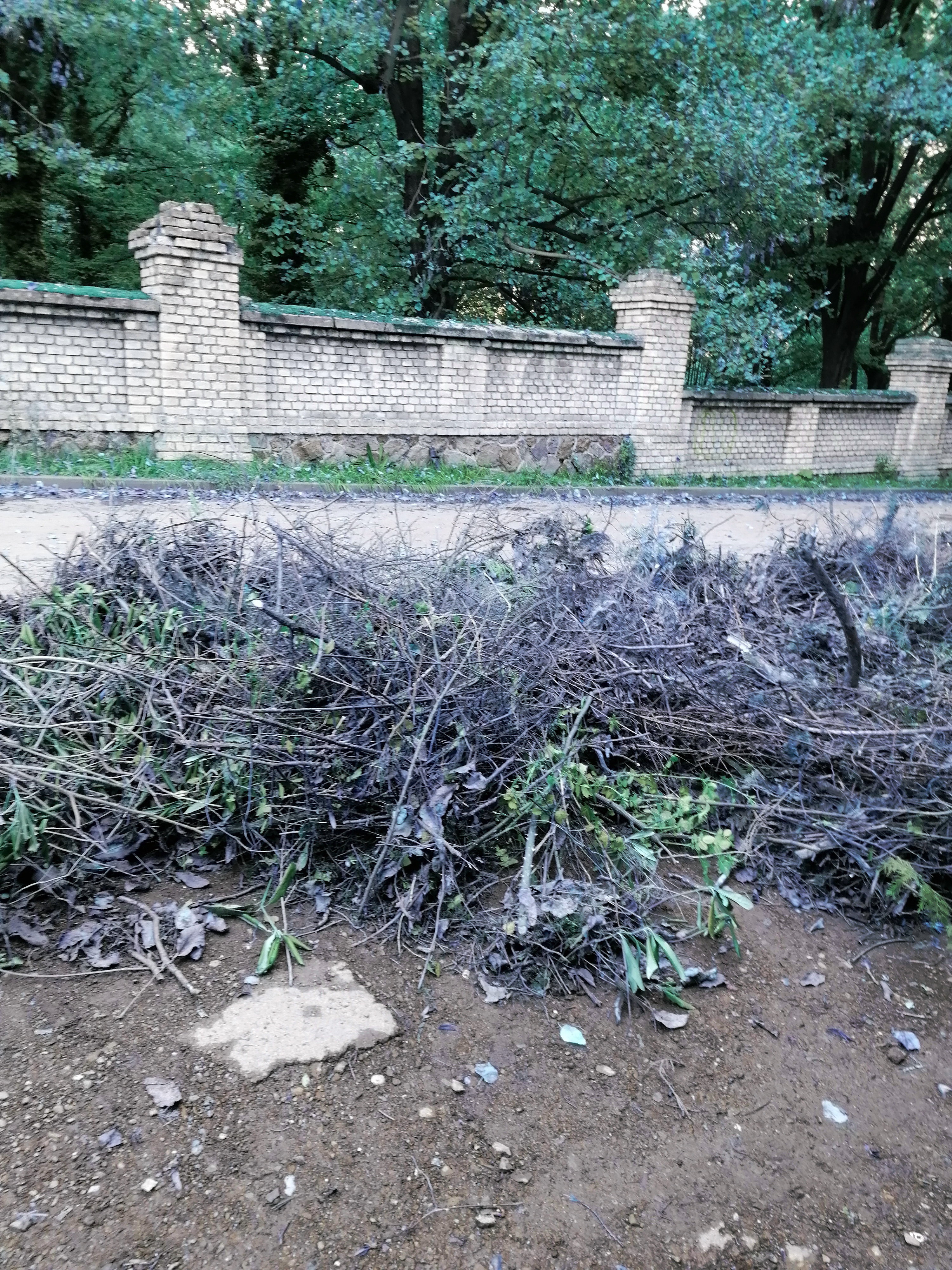 IMG_20251009_135520_1