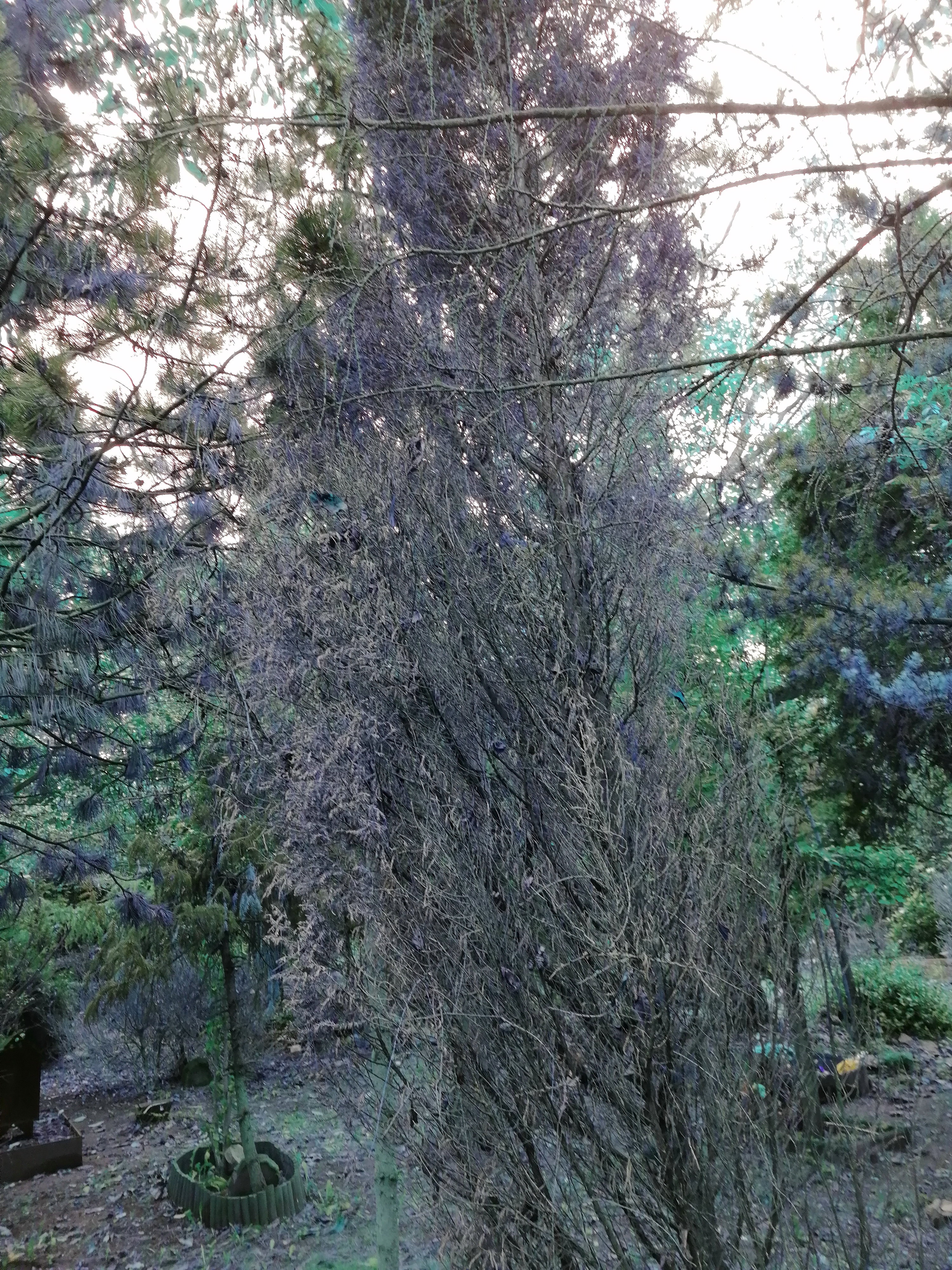 IMG_20251010_101215_1