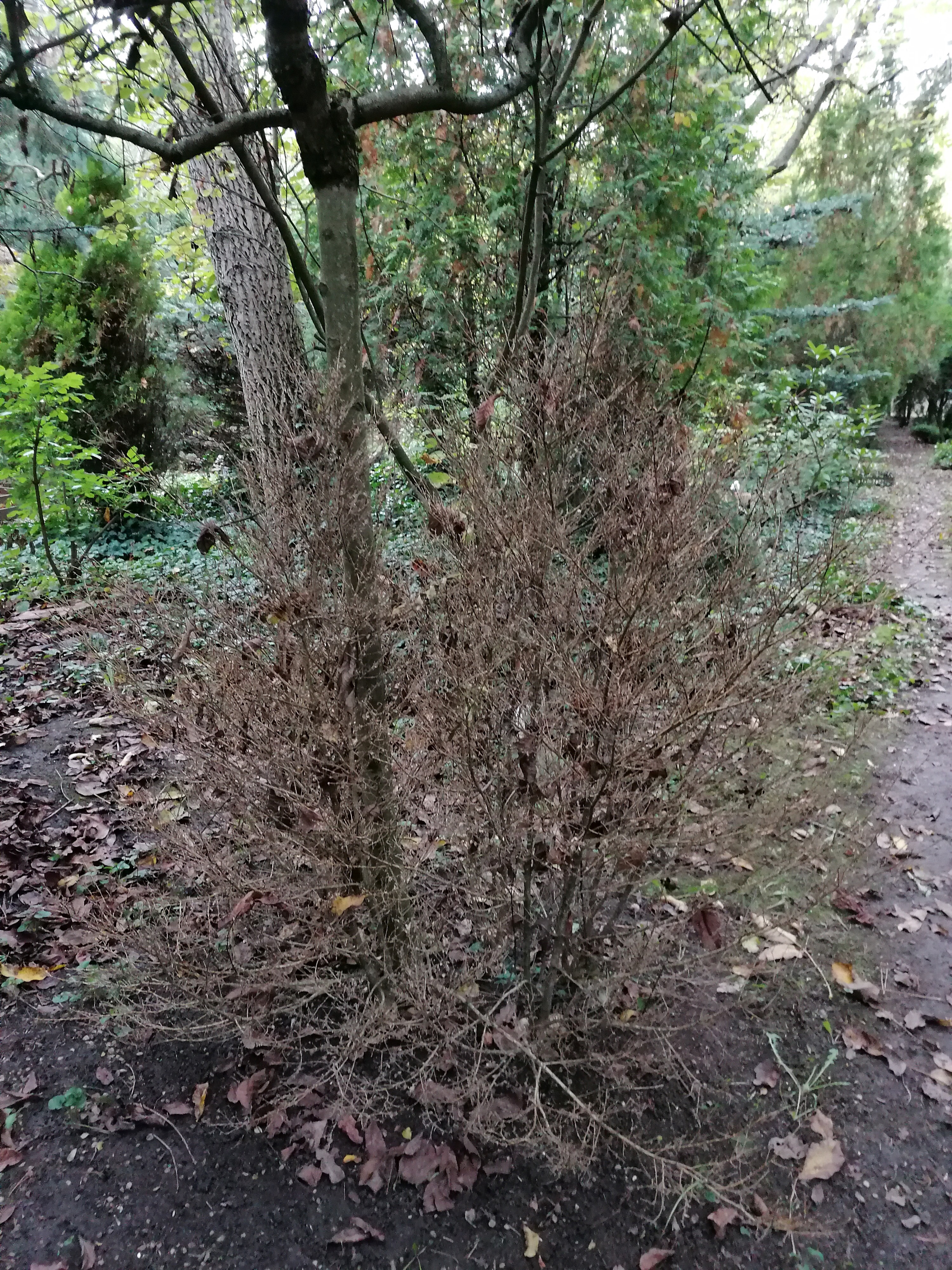 IMG_20251010_125804_1