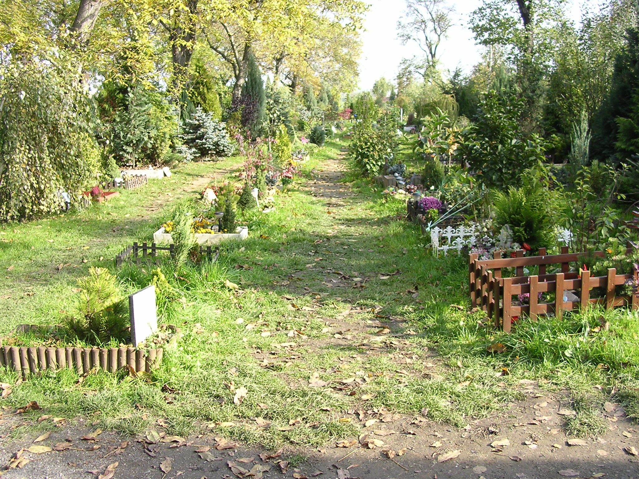 DSCN1493.JPG